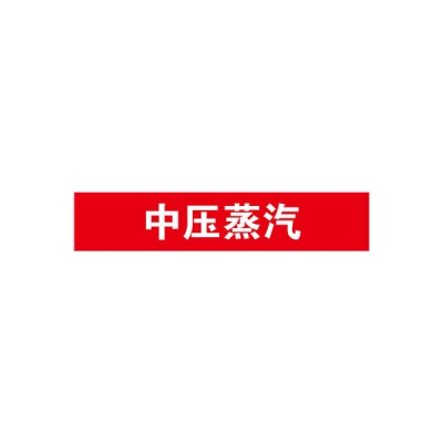 安赛瑞 SAFEWARE 15305 ...