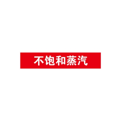 安赛瑞 SAFEWARE 15308 管道标识（不饱和蒸汽）自粘性乙烯材料,表面覆保护膜,红底白字,100×500mm