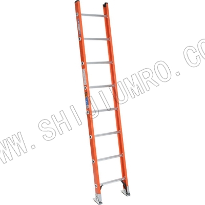 玻璃钢直梯 D6216-1 WERNER稳耐