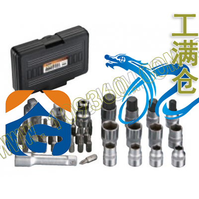 41件套筒头,起子头及转换头套装 E21K icetoolz立富