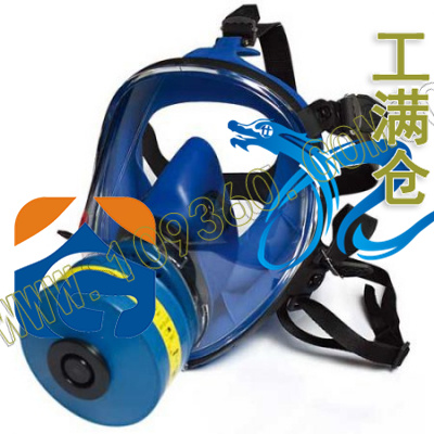 蓝色硅胶大视野全面罩(接滤罐) 羿科-aegle 60414104 EW8300