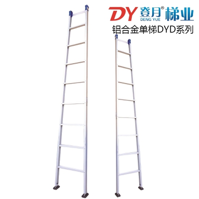 登月DYLT-21型铝合金单梯DYD系列直梯2-6米承重150kg家用商用工业