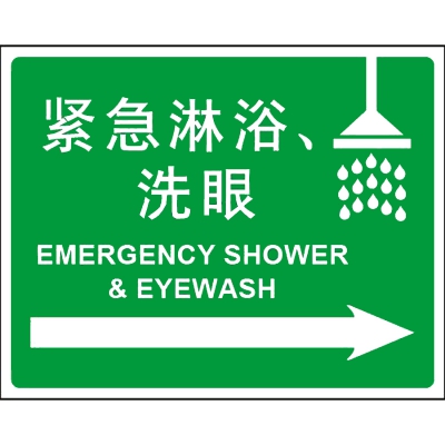 贝迪赛盾 紧急淋浴、洗眼 安全标识 250*315mm 5个装 乙烯 PP